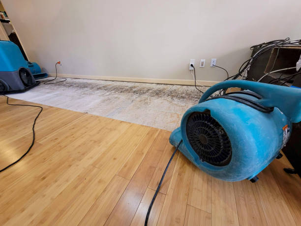 Professional Water Damage Repair technician working in El Dorado Hills, CA